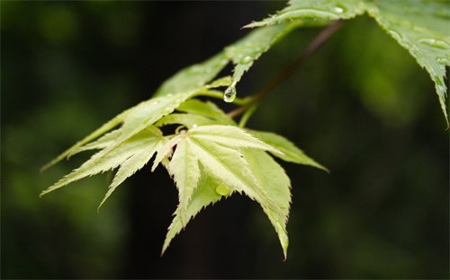 嘉卜新能源有限公司,嘉拓新能源科技有限公司怎么样